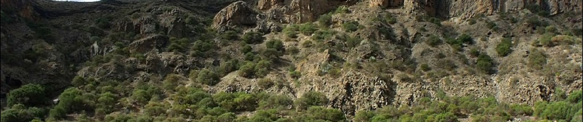 Tour Zu Fuß Santa Brígida - Camino Borde de Caldera - Photo