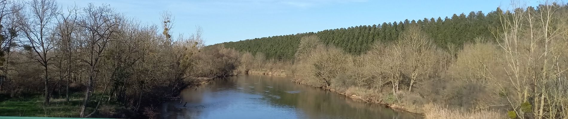 Excursión Bici eléctrica Rosières-aux-Salines - sortie vtt 21022023 rosière aux salines - Photo