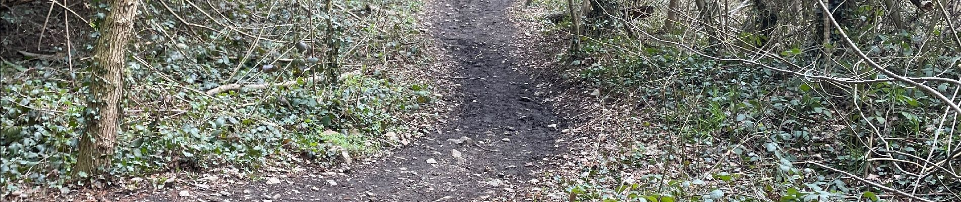 Randonnée Marche Olne - Forêt par Navette - Photo