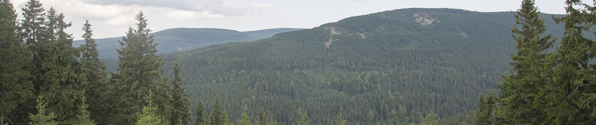 Tour Zu Fuß Rochlitz an der Iser - CZ-4286 - Photo