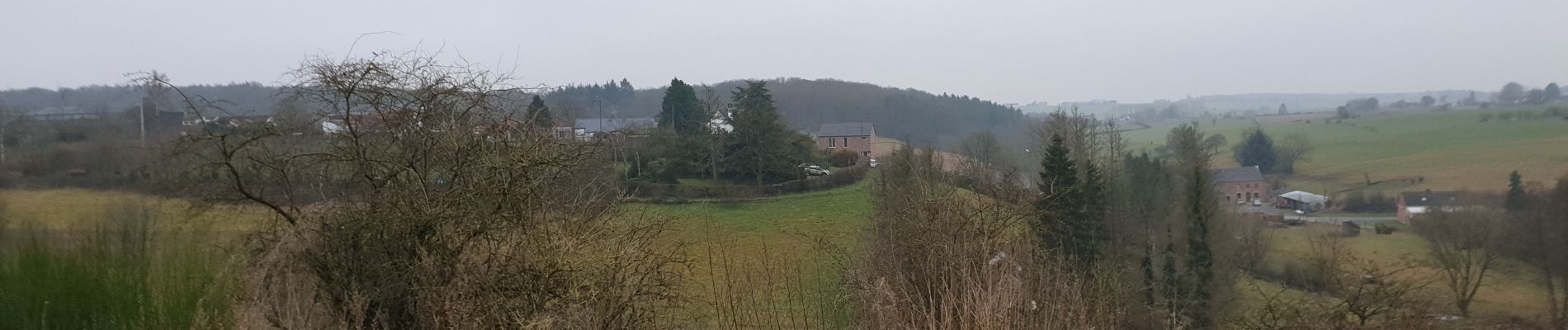 Randonnée Marche Froidchapelle - Balade à Froidchapelle - Photo