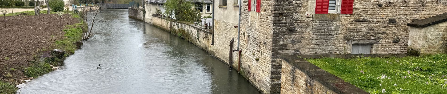 Trail Walking Les Riceys - Ricey bois, cadoles et vignes 13 km - Photo