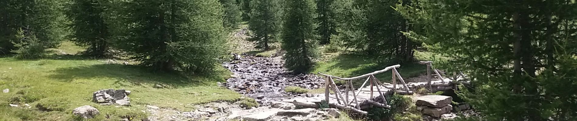 Randonnée Marche Les Orres - les orres 1800 . lac sainte marguerite / montée par le sentier et retour par la piste - Photo