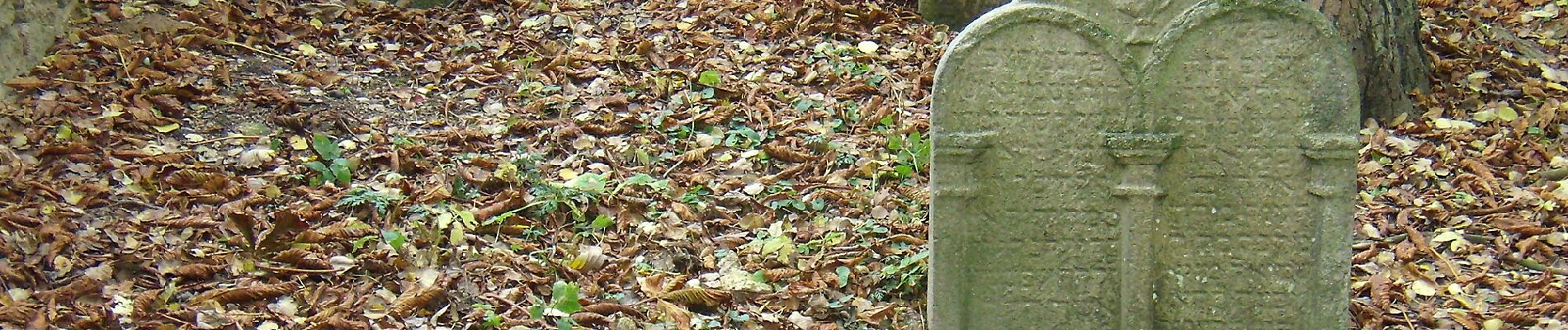 Tocht Te voet Bor - NS Stráž - Souměř - Photo