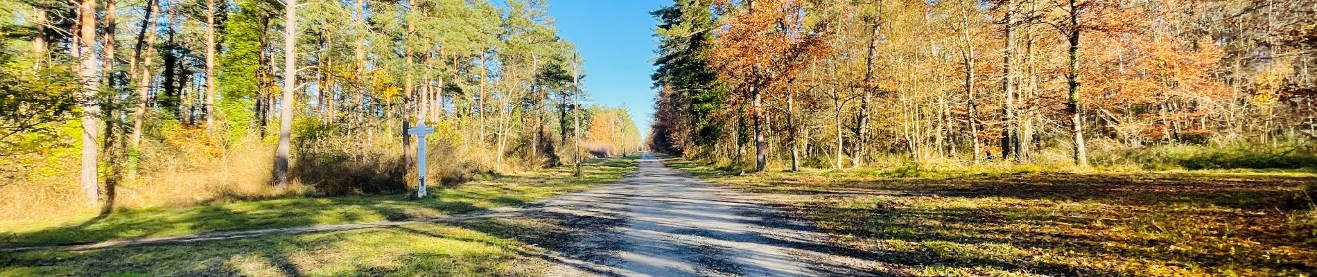 Punto di interesse Compiègne - Unnamed POI - Photo