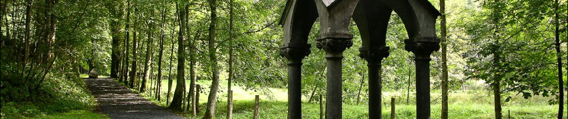 Tour Zu Fuß Bièvre - SityTrail - Sur les pas des saints  - Photo