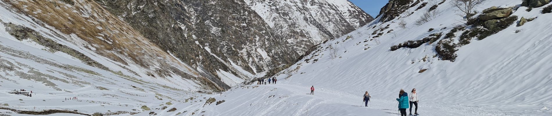 Percorso Racchette da neve Aragnouet - Piau-Engaly: Neste de Badet, lac de Badet (boucle) - Photo