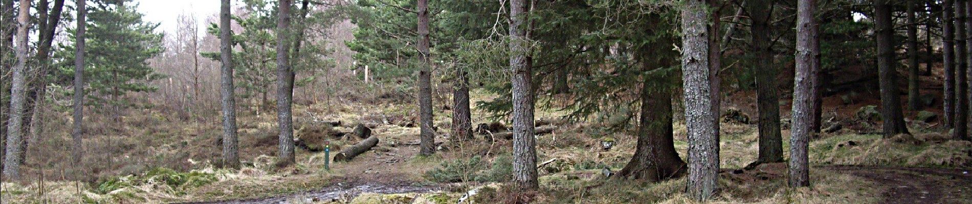 Percorso A piedi Unknown - Blackhall Loop Trail - Photo