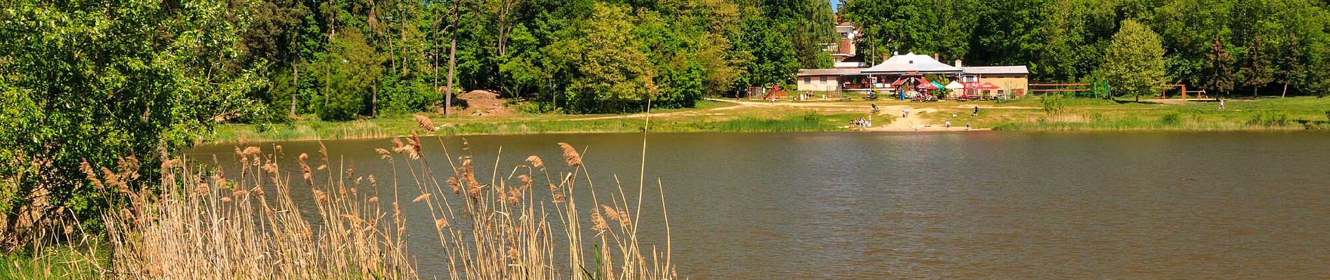 Tocht Te voet Vysoká nad Labem - NS Koliba - Photo