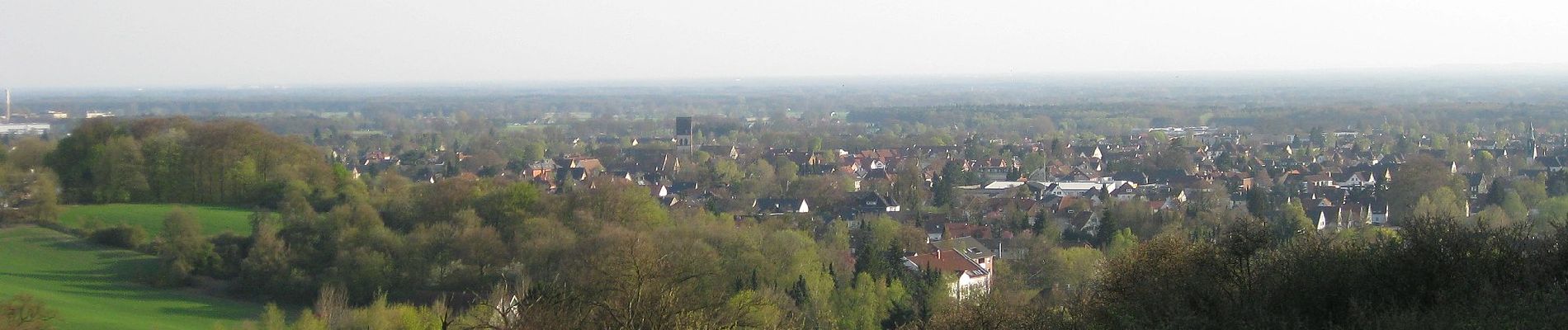 Trail On foot Borgholzhausen - Haller Rundweg A5 - Photo