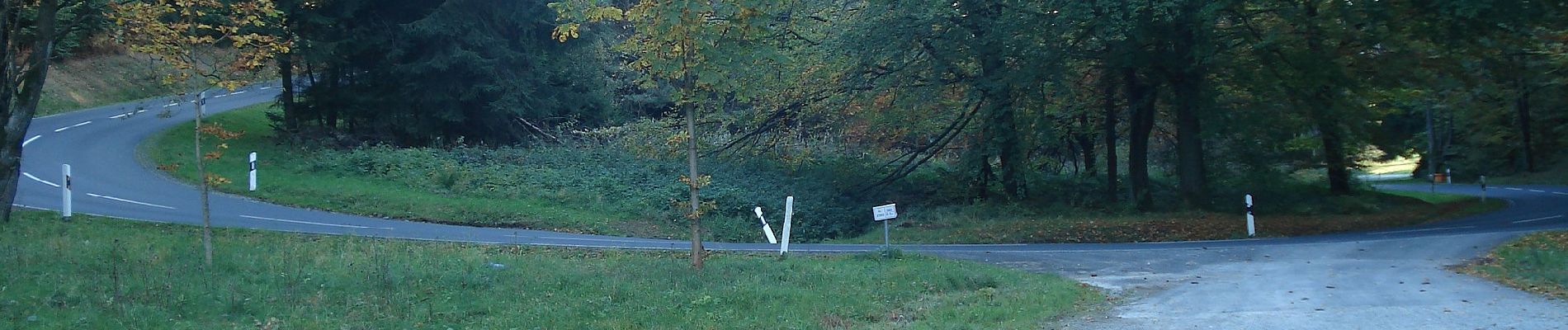 Percorso A piedi Wiesen - Ortswanderweg Wiesen 2 - Photo