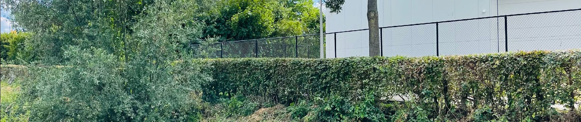 Tocht Stappen Diepenbeek - La vallée du Démer - La réserve naturelle Dorpsbemden à Diepenbeek - Photo