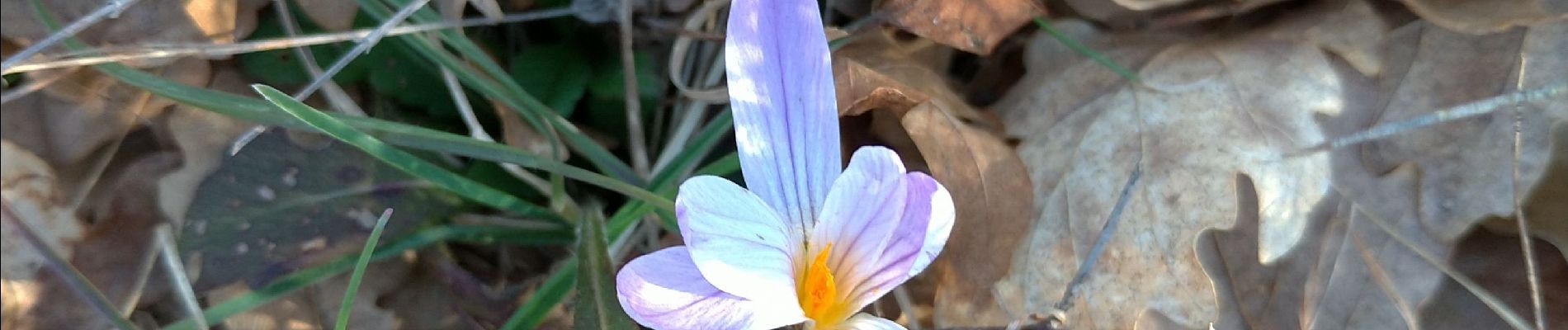 Randonnée Marche Solliès-Toucas - les morières et autres curiosités 10/03/2023 - Photo