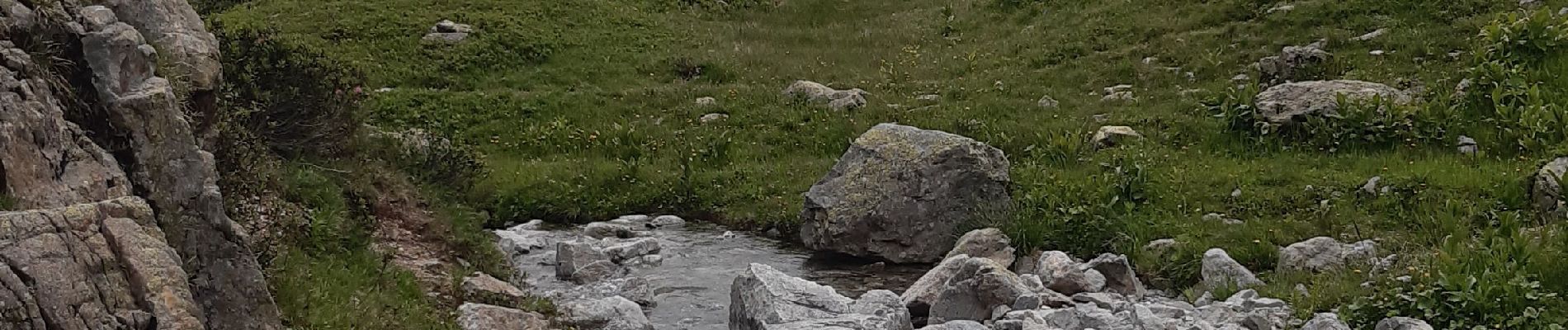 Excursión Senderismo Chamonix-Mont-Blanc - lac blanc par les Montets retour par Argentiere - Photo