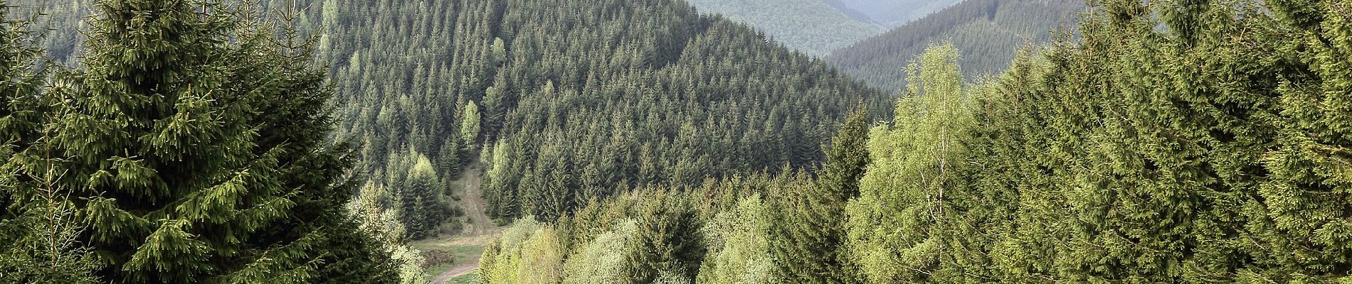 Tocht Te voet Goslar - HK 2: Münchehof, Bhf. - Bad Grund - Clausthal-Zellerfeld - Langelsheim - Photo