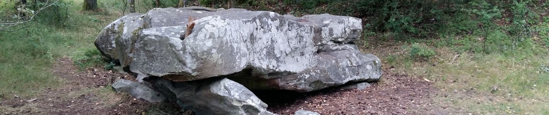 Point d'intérêt Saint-Léger-en-Yvelines - Dolmen de la Pierre Ardoue - Photo