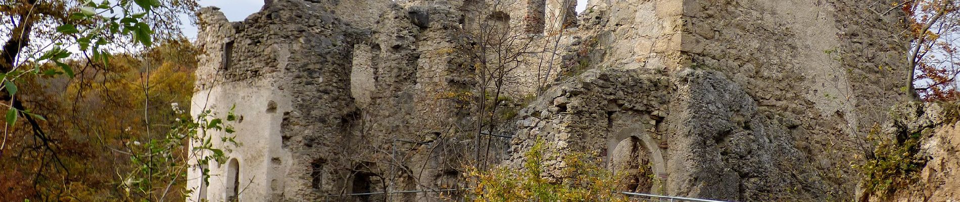 Percorso A piedi Gemeinde Mödling - Wienerwald-Sternwanderweg 43 - Photo