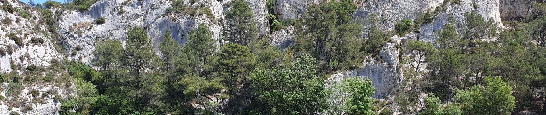 Tour Wandern Saint-Rémy-de-Provence - st remy - Photo