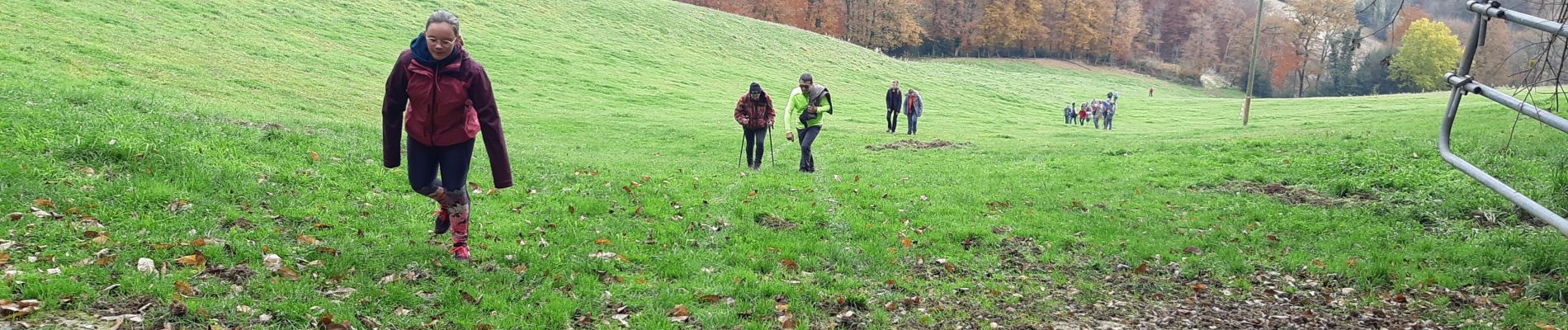 Randonnée Marche Lestrade-et-Thouels - Randonnée Téléthon  - Photo