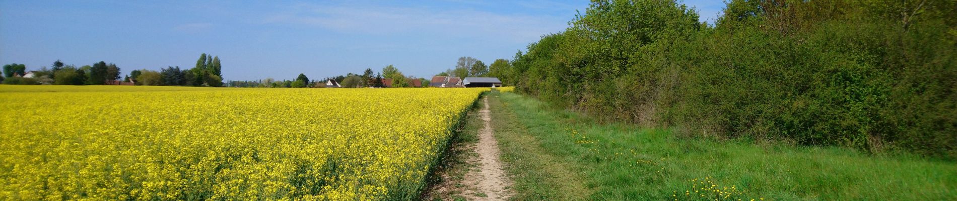 Randonnée Marche Fondettes - Fondettes - Impro 4 communes - 21.6km 200m 4h40 (30mn) - 2021 04 24 - Photo