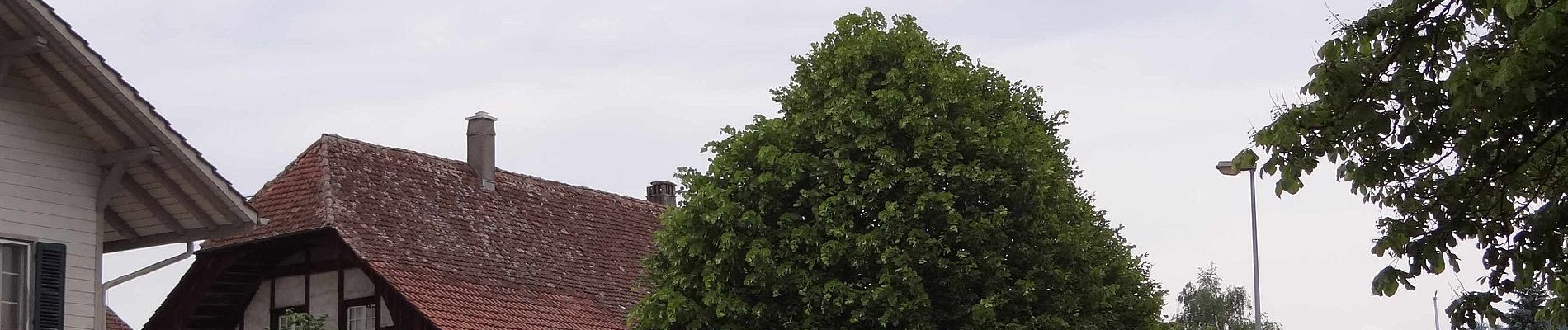 Randonnée A pied Kirchlindach - Oberlindach - Münchenbuchsee - Photo