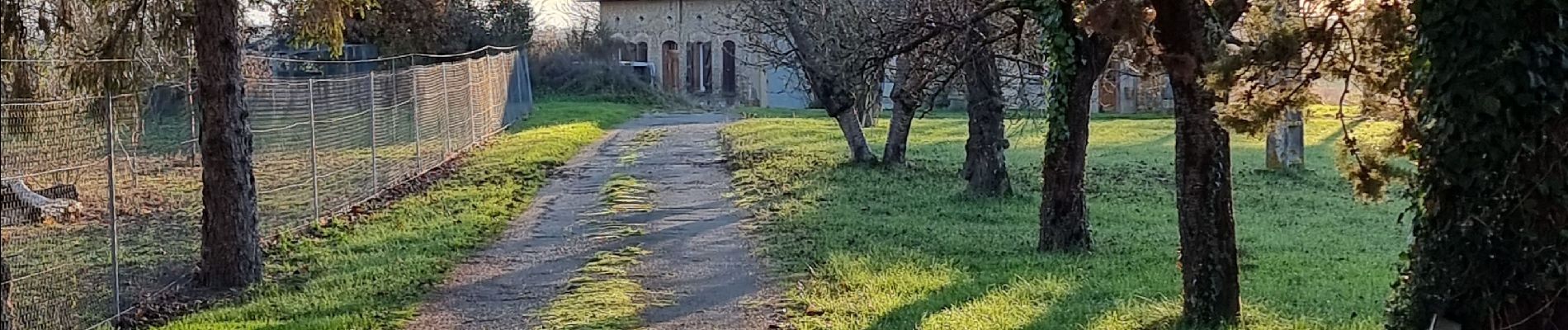 Randonnée Marche Monferran-Savès - Sur les terres de Monferran Saves  - Photo