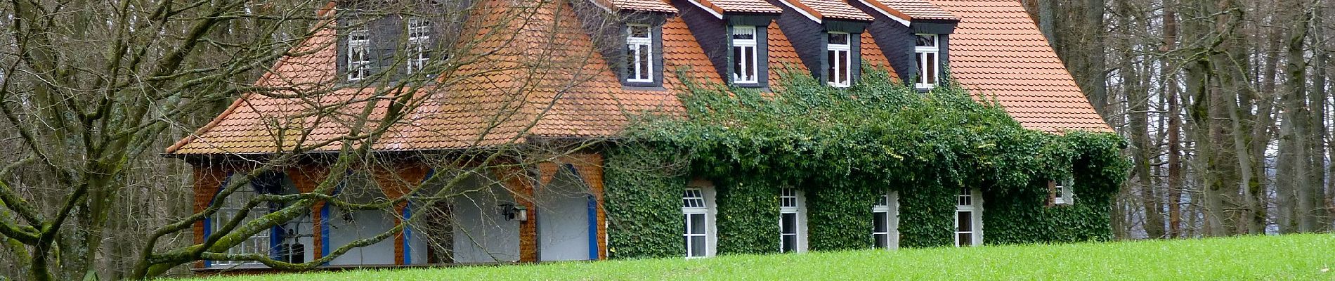 Randonnée A pied Reichelsheim (Odenwald) - Rundwanderweg Vierstöck 6: Knösberg-Weg - Photo