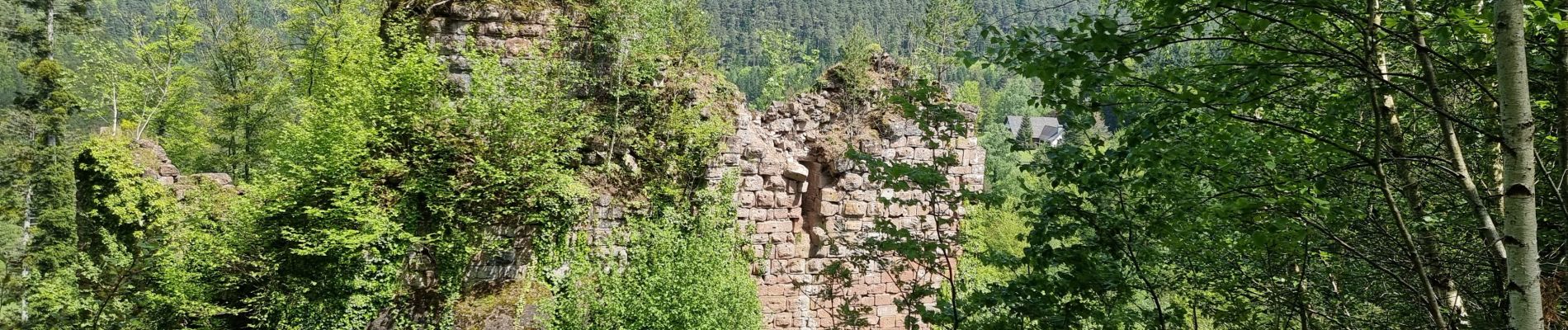 Excursión Senderismo Wangenbourg-Engenthal - ARCA WANGENBOURG - Photo