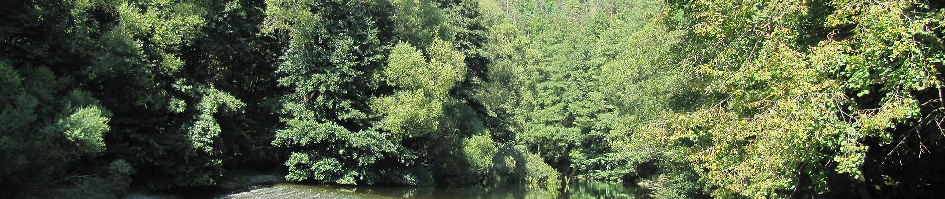 Excursión A pie Mohelno - Naučná stezka národní přírodní rezervace Mohelenská hadcová step - Photo