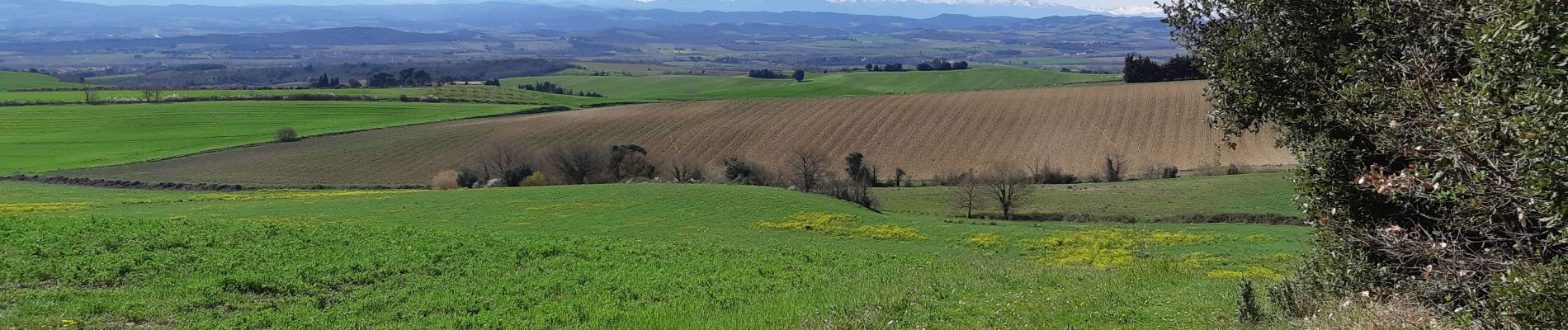 Randonnée Marche Villarzel-du-Razès - Vilarzel du Razès et son chateau - Photo