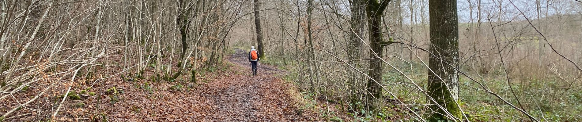 Excursión Senderismo Anhée - Bioul 29,7 km - Photo