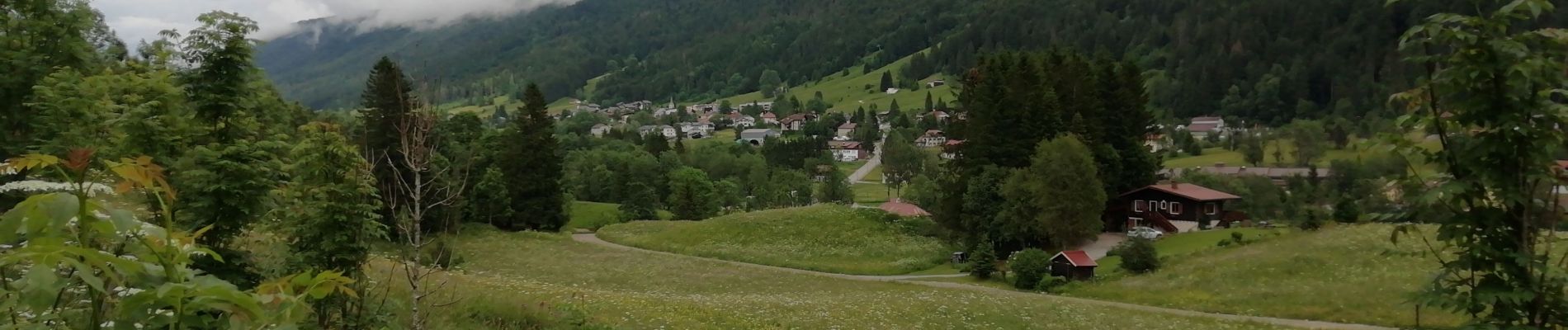 Tour Wandern Lélex - balise 2 - Photo