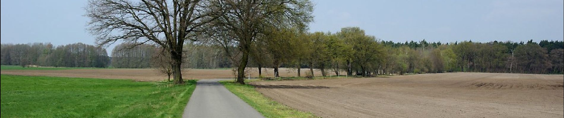 Tour Zu Fuß Forst (Lausitz) - Wanderweg Forst-Döbern - Photo