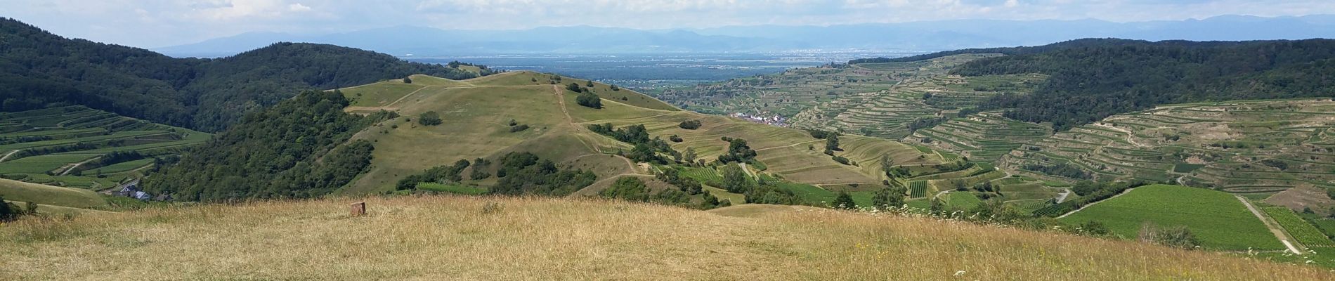 Tocht Mountainbike Ihringen - VTT Kaiserstuhl 2020 - Photo