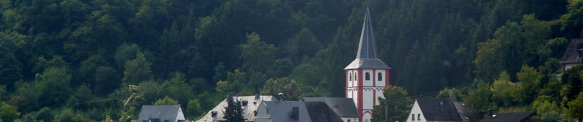 Randonnée A pied Boppard - Traumschleife Rheingold - Photo