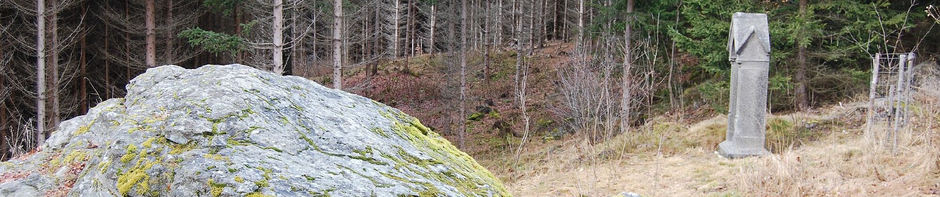 Percorso A piedi Volary - CZ-[Č - místní] - Photo