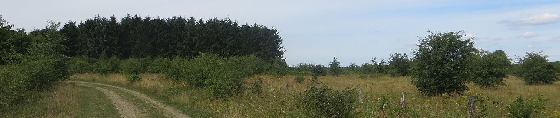 Tocht Te voet Harrislee - Rundweg 1, Stiftungsland Schäferhaus - Photo