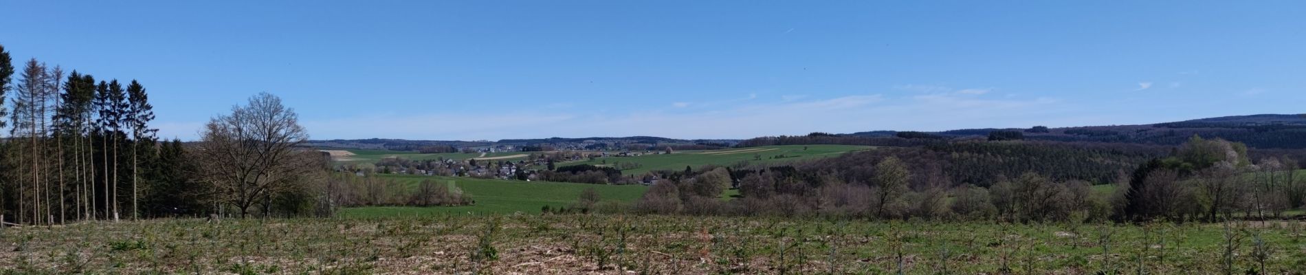 Percorso Marcia Saint-Hubert - A la découverte de Mirwart et ses environs  - Photo