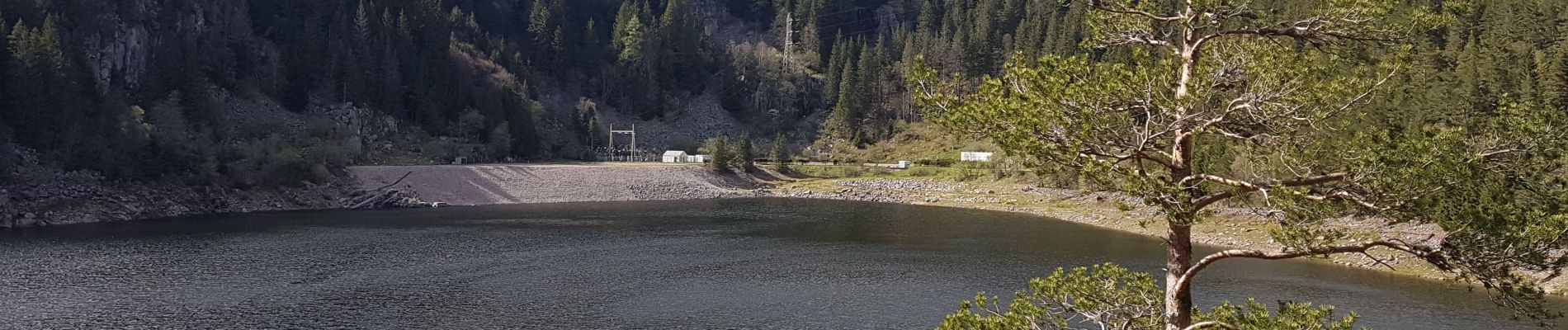 Randonnée Marche Orbey - Lac noir  - Photo