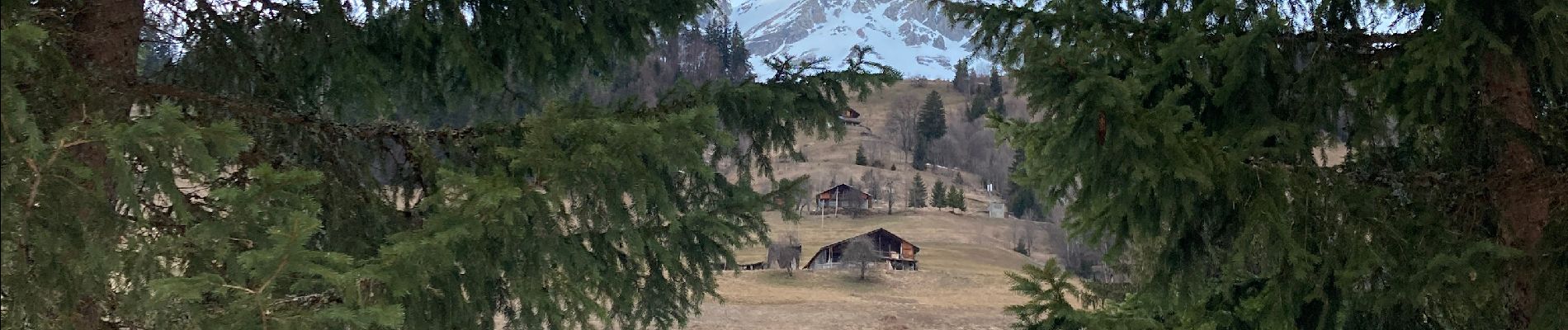 Tour Schneeschuhwandern Flumet - La tête du Torraz ( ballade 18) - Photo