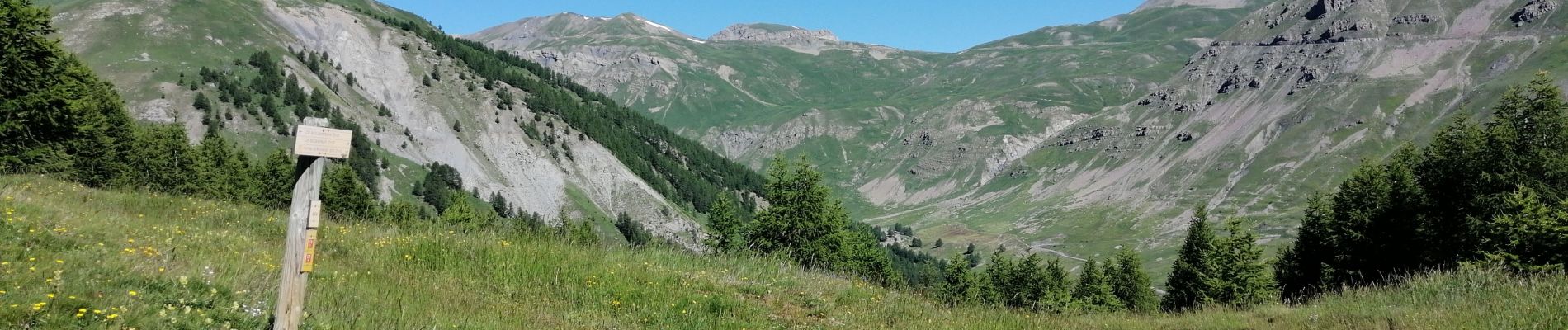 Excursión Marcha nórdica Saint-Dalmas-le-Selvage - Crête de la Blanche  - Photo