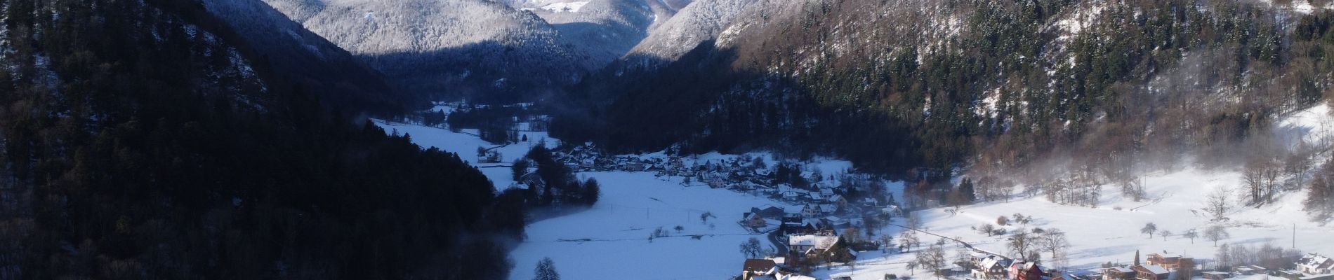 Tour Wandern Metzeral - Autours de Metzeral - Photo