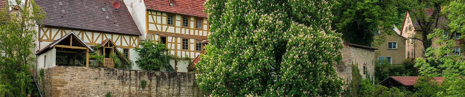 Percorso A piedi Widdern - KJ14 Widdern-Ziegelhütte-Bühl-Rundweg - Photo