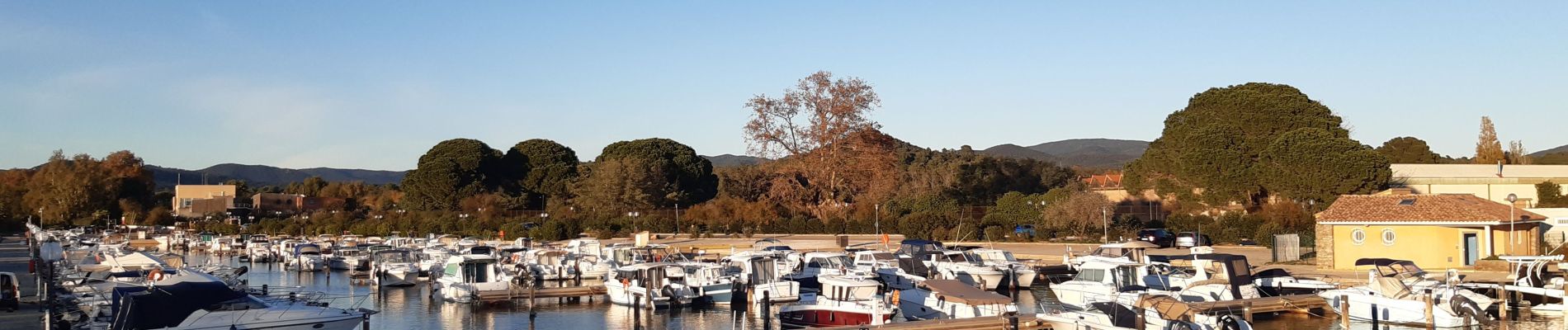 Tour Wandern La Londe-les-Maures - 2022_11_20 tour du soir - Photo