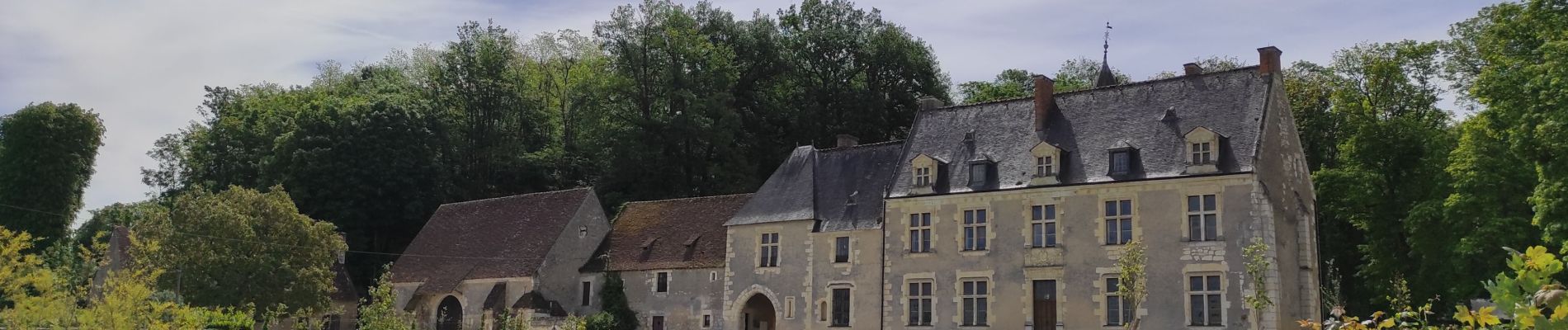 Excursión Bicicleta La Chartre-sur-le-Loir - Vignes en Loir - Photo