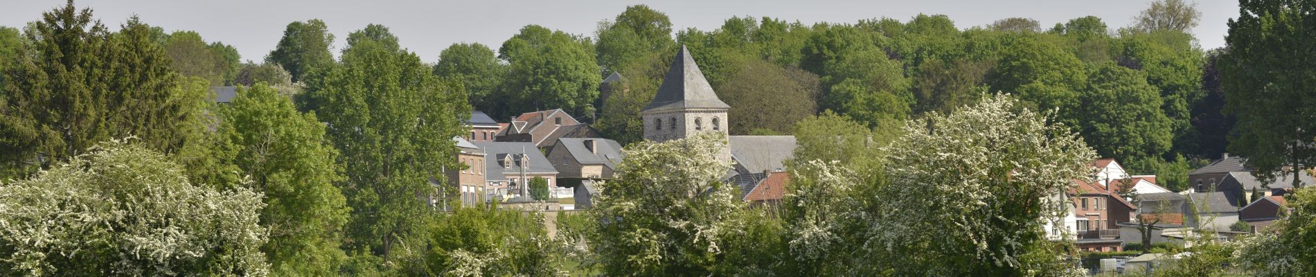 Tocht Stappen Bitsingen - wonck houtain haut de froidmont - Photo