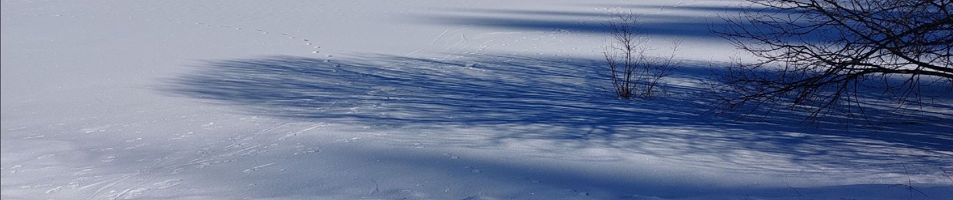 Trail Snowshoes Lamoura - Lac de Lamoura  - Photo