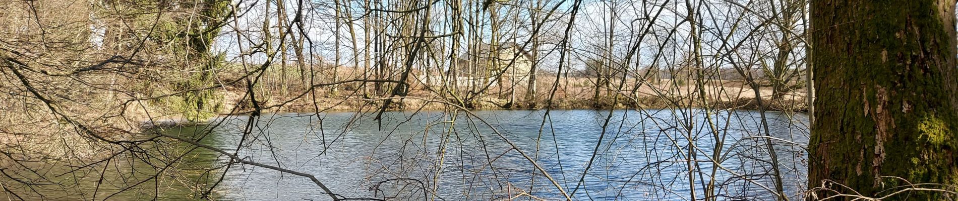 Randonnée Marche Libramont-Chevigny - Bras bas 190321 - Photo