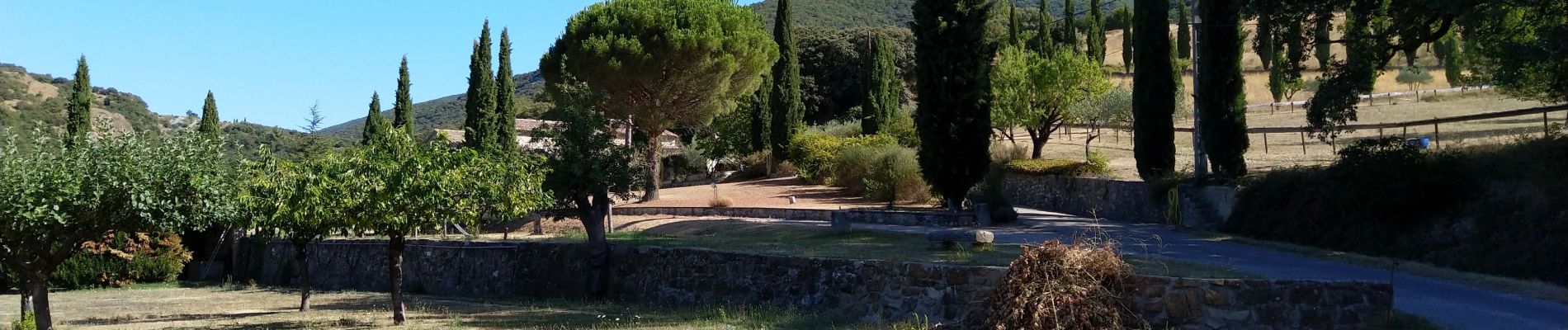 Trail Walking Rousset-les-Vignes - Rousset- La Lance - Photo