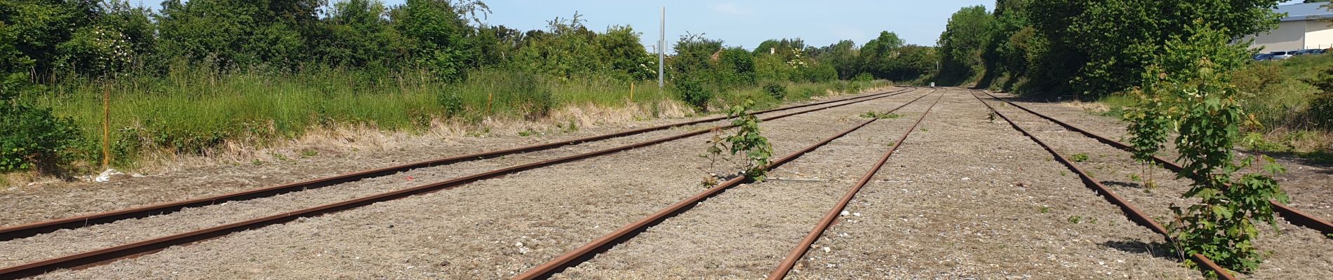 Excursión Senderismo La Calotterie - Autour de Montreuil sur mer  - Photo